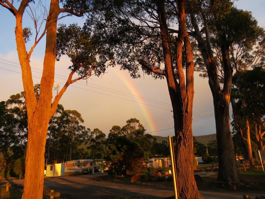 Captain Cook Holiday Park Adventure Bay Exterior foto